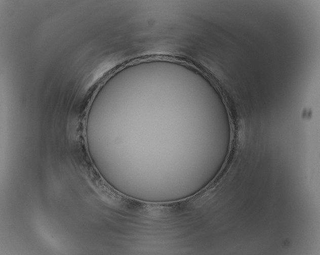 X0000112351258200908201432