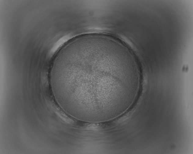 X0000112351259200908201432