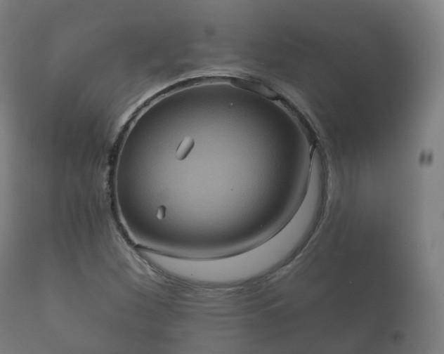 X0000112351260200908201432