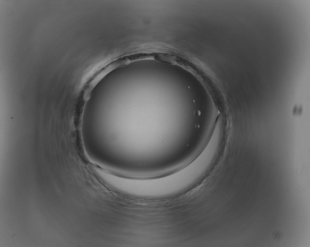 X0000112351261200908201432