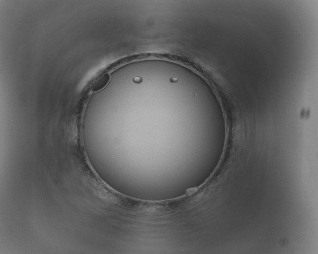 X0000112351262200908201432
