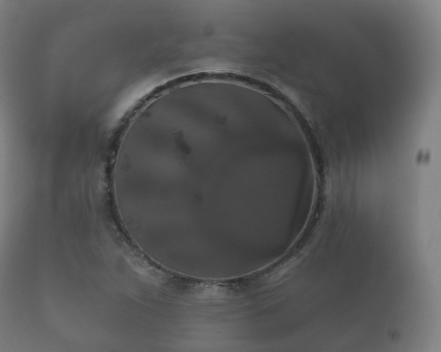 X0000112351263200908201432
