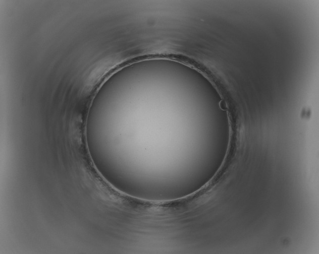 X0000112351265200908201432