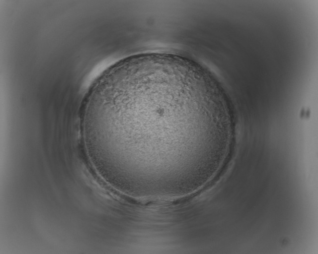 X0000112351267200908201432