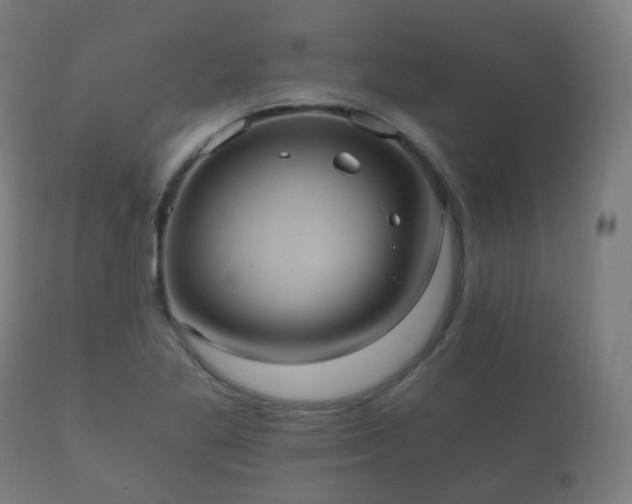 X0000112351269200908201431