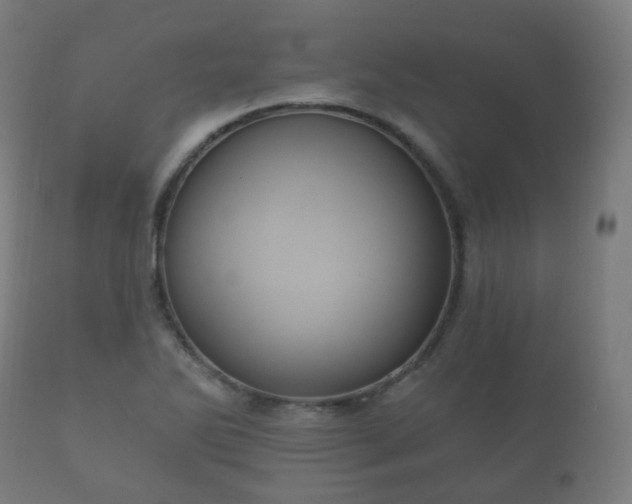 X0000112351270200908201431