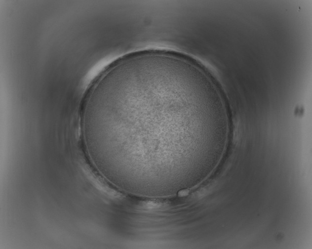 X0000112351271200908201431
