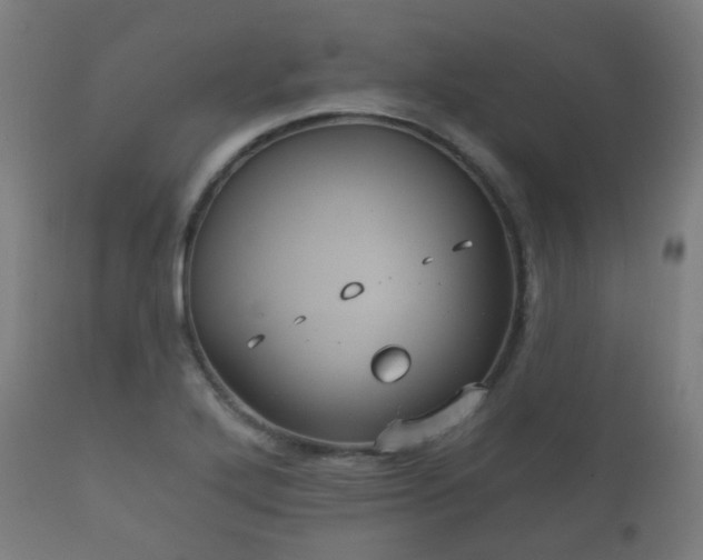 X0000112351272200908201431