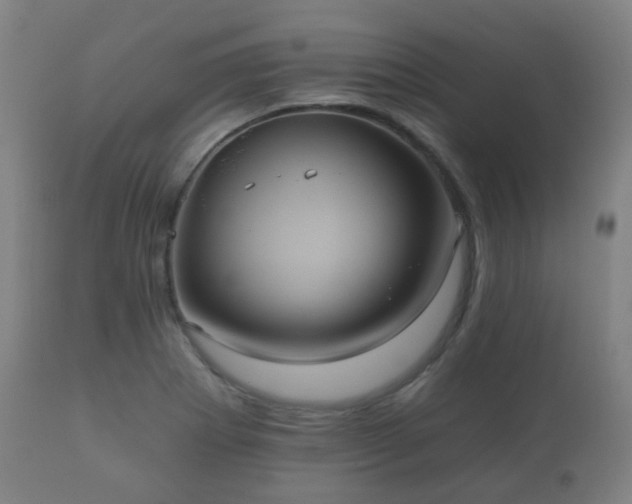 X0000112351273200908201431