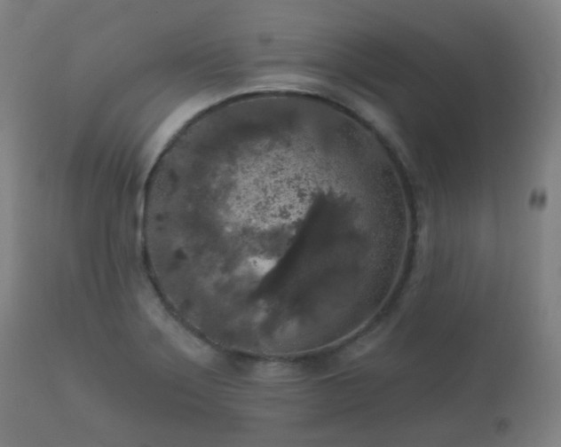 X0000112351275200908201431