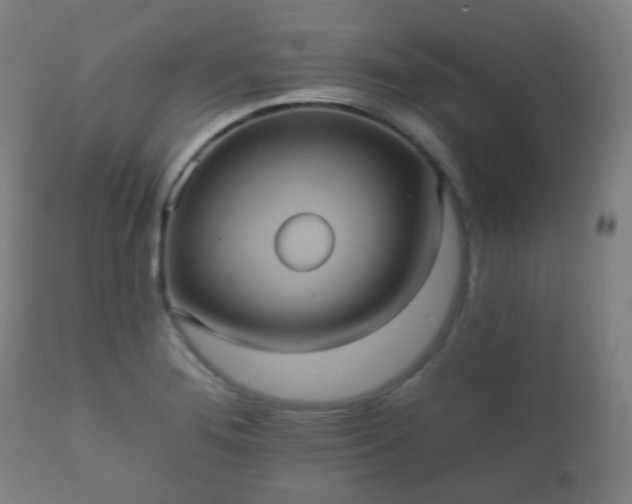X0000112351276200908201431