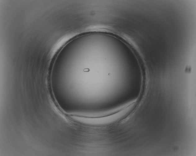 X0000112351277200908201431