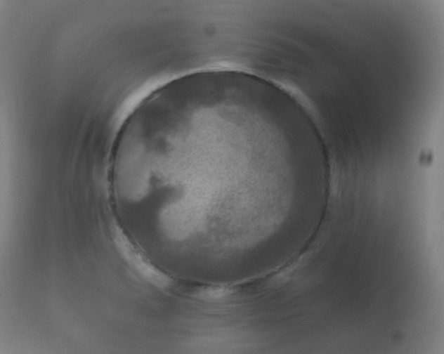 X0000112351278200908201431