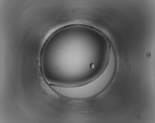 X0000112351280200908201431