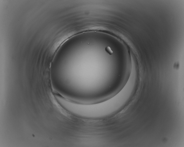 X0000112351281200908201431
