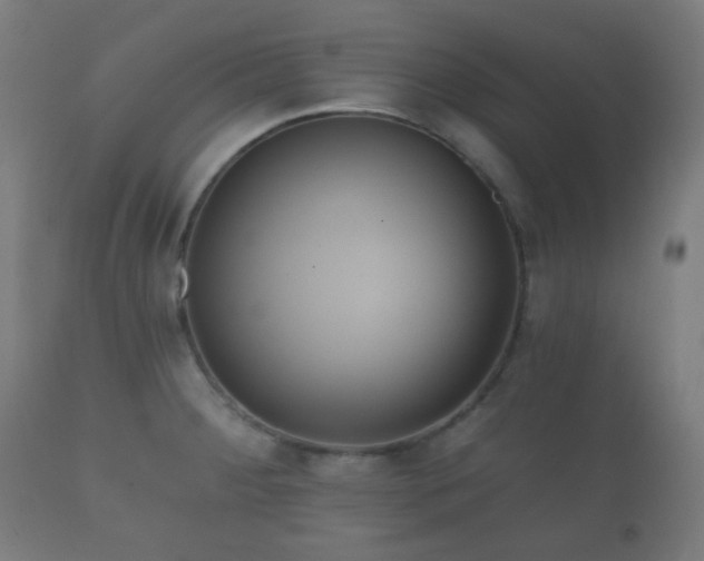 X0000112351284200908201431