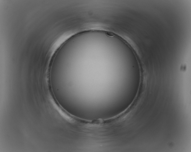 X0000112351285200908201431