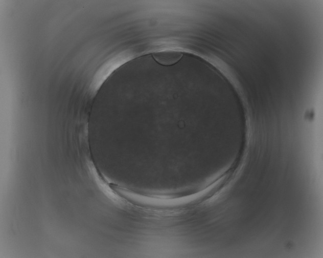 X0000112351289200908201431