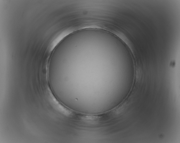 X0000112351290200908201431