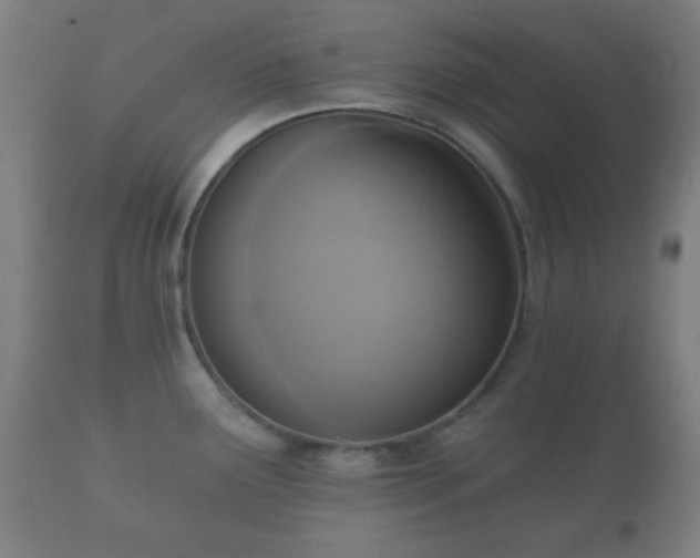 X0000112351291200908201431