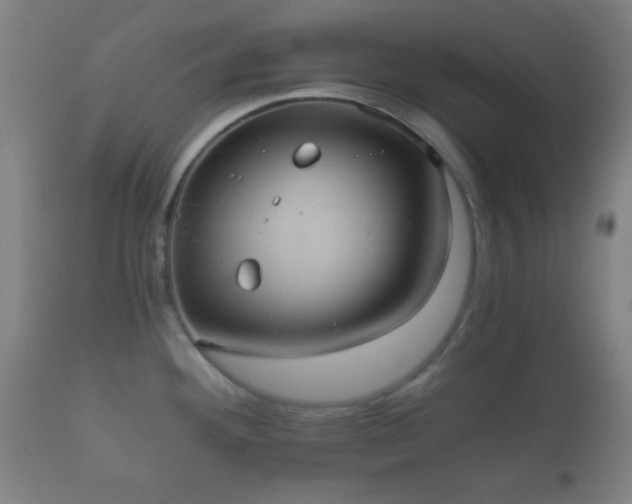 X0000112351292200908201431