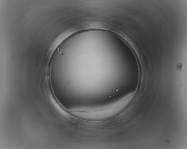 X0000112351293200908201431