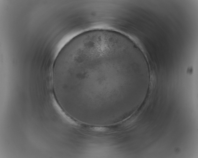 X0000112351295200908201431