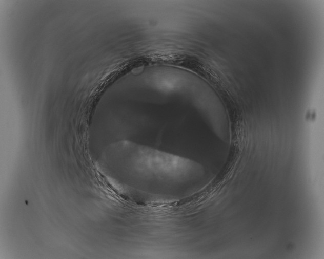 X0000112351297200908201430