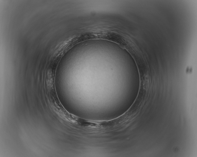 X0000112351298200908201430