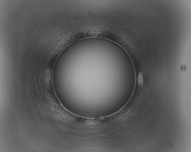 X0000112351299200908201430
