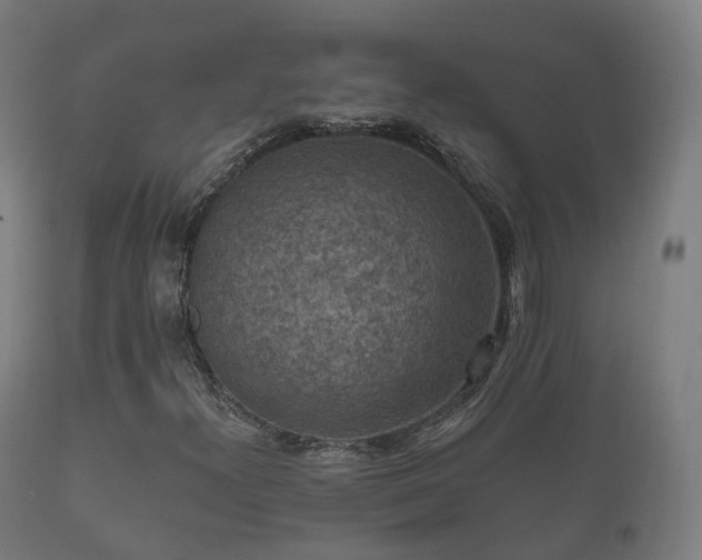 X0000112351300200908201431
