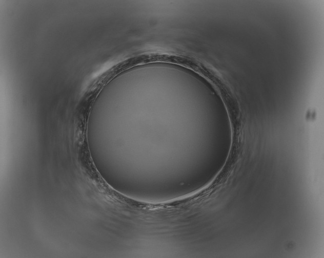 X0000112351303200908201431