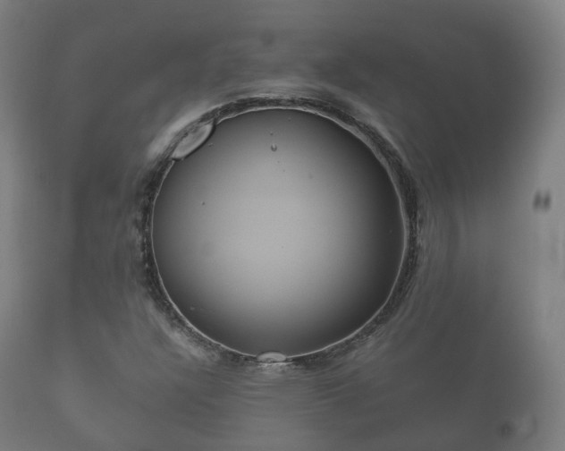 X0000112351304200908201431