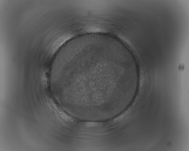 X0000112351305200908201431