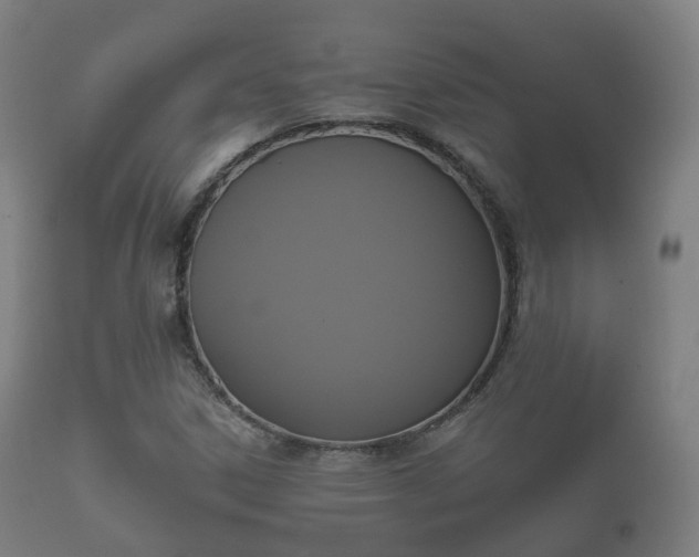 X0000112351306200908201431