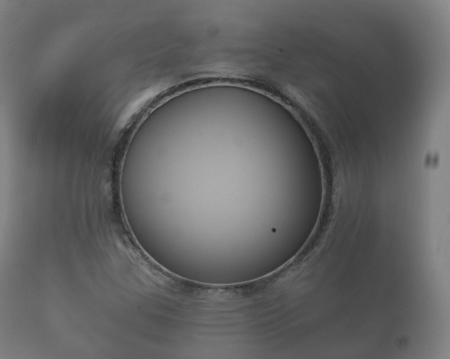 X0000112351307200908201431