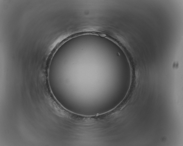 X0000112351308200908201431