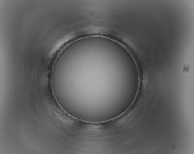 X0000112351309200908201431