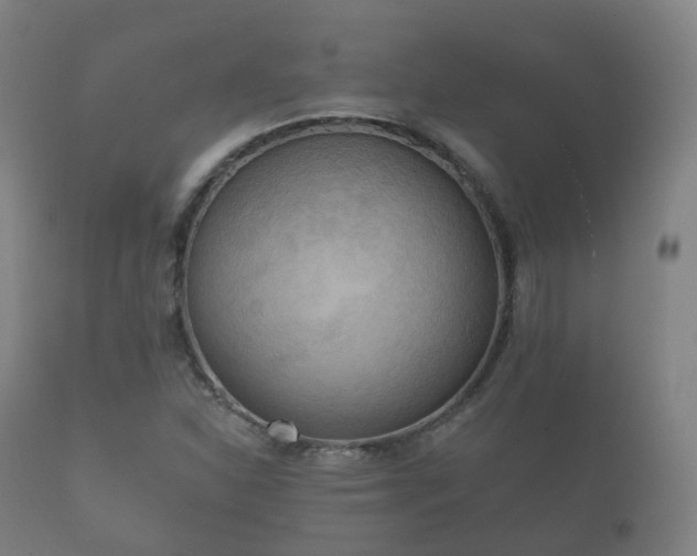 X0000112351310200908201431