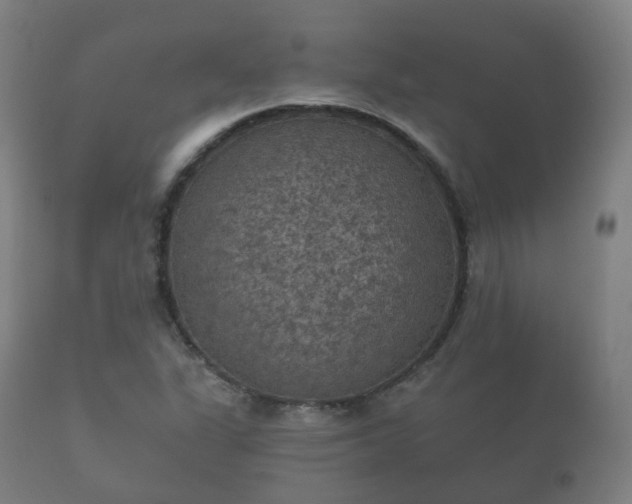 X0000112351311200908201431
