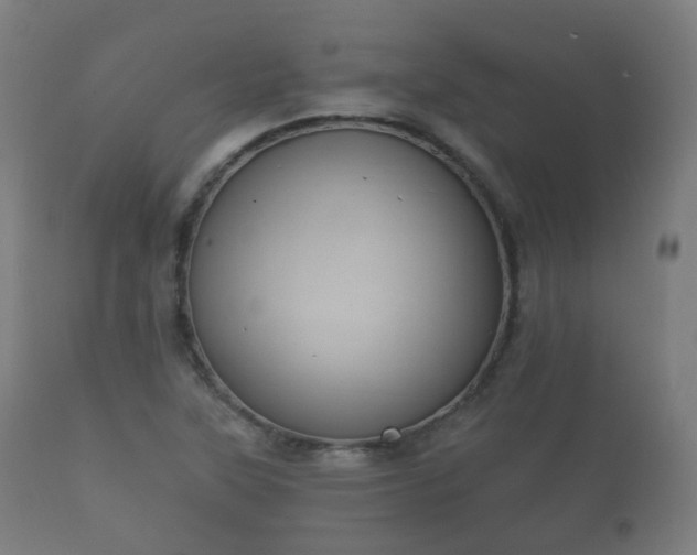 X0000112351315200908201431