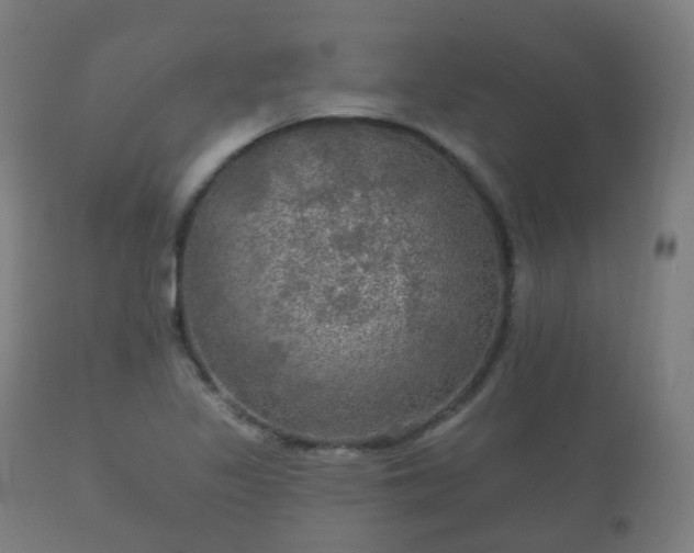 X0000112351317200908201431