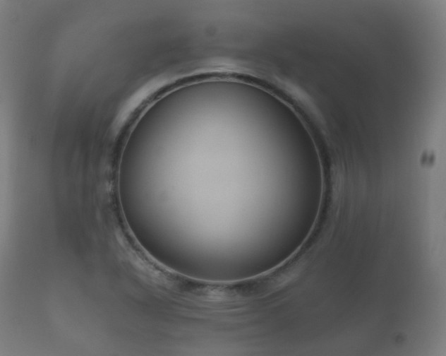 X0000112351318200908201431