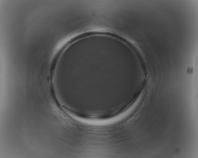 X0000112351319200908201431