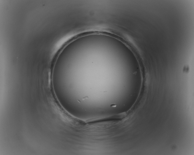 X0000112351320200908201431