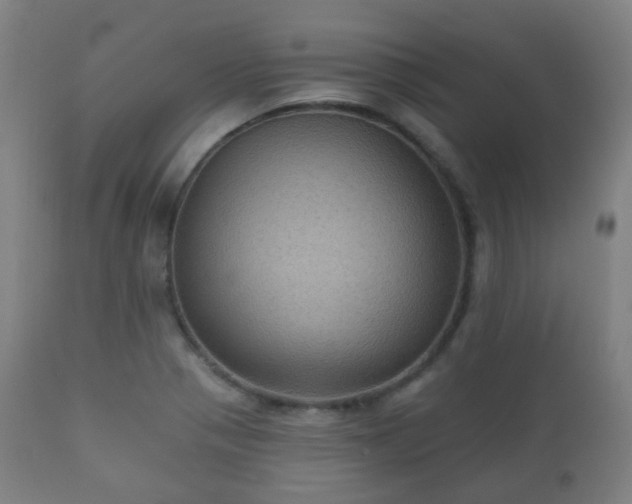 X0000112351321200908201431