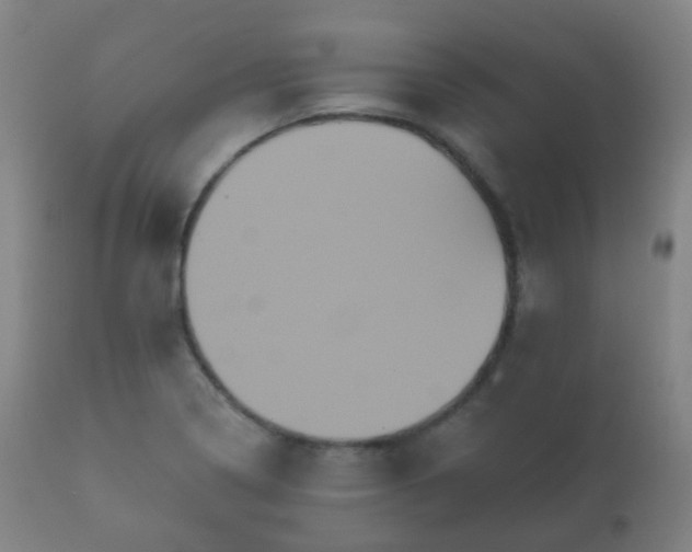 X0000112351322200908201431