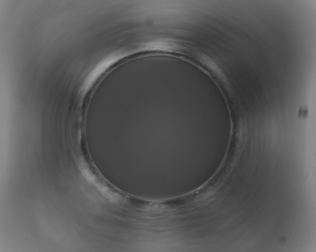 X0000112351323200908201431