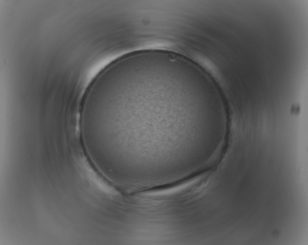 X0000112351324200908201431