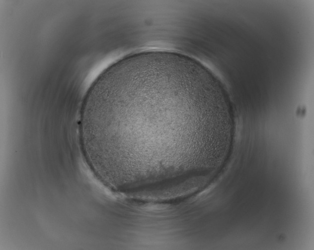 X0000112351325200908201431